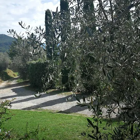 Casa Marconi * Vetriano